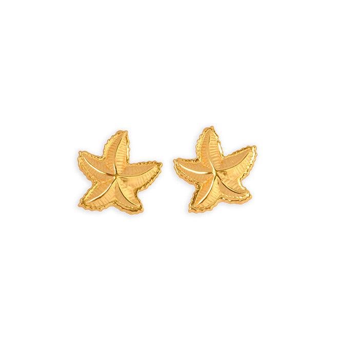 Topo Estrella De Mar Mediana