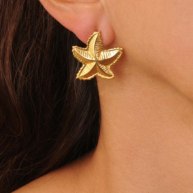 Topo Estrella De Mar Mediana