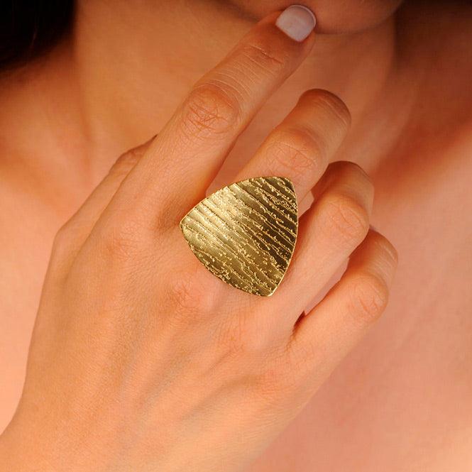 Anillo Bora