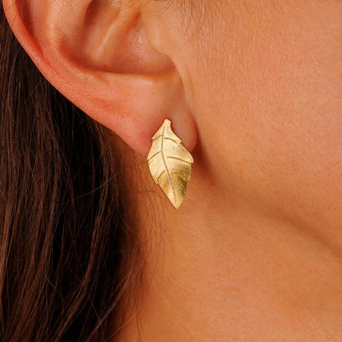 Arete Topo Hoja Edén