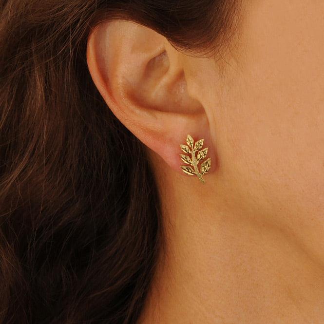 Arete Topo Rama De Laurel Renacer
