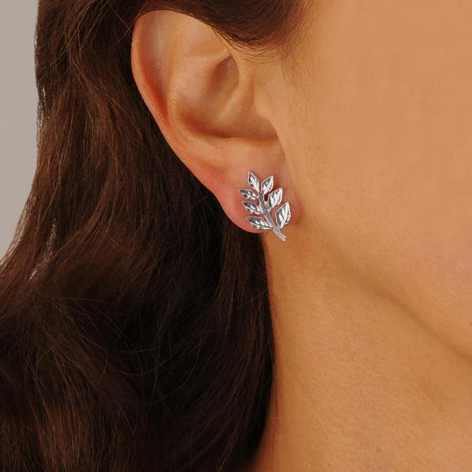 Arete Topo Rama De Laurel Renacer