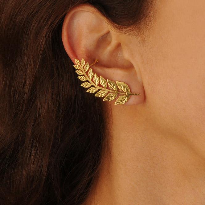 Ear Cuff Y Arete Rama De Laurel Renacer