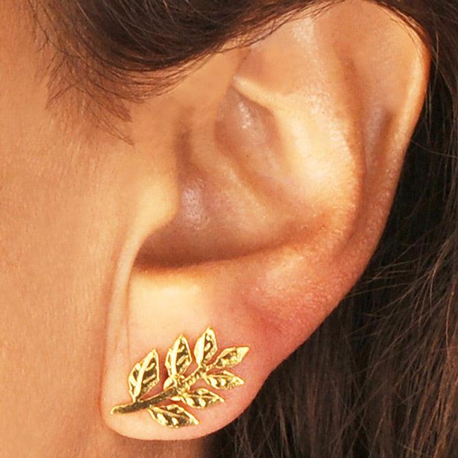 Ear Cuff Y Arete Rama De Laurel Renacer
