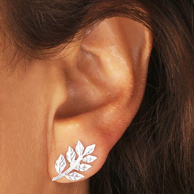 Ear Cuff Y Arete Rama De Laurel Renacer