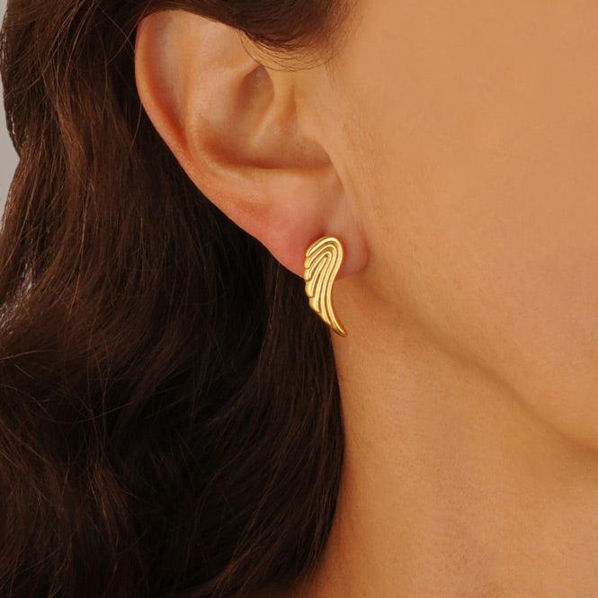 Arete Topo Ala Renacer