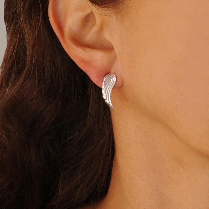 Arete Topo Ala Renacer