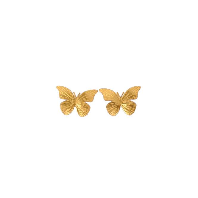 Arete Topo Mariposa Renacer