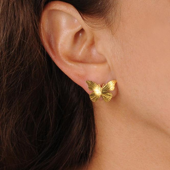 Arete Topo Mariposa Renacer