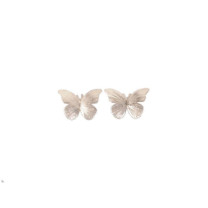 Arete Topo Mariposa Renacer