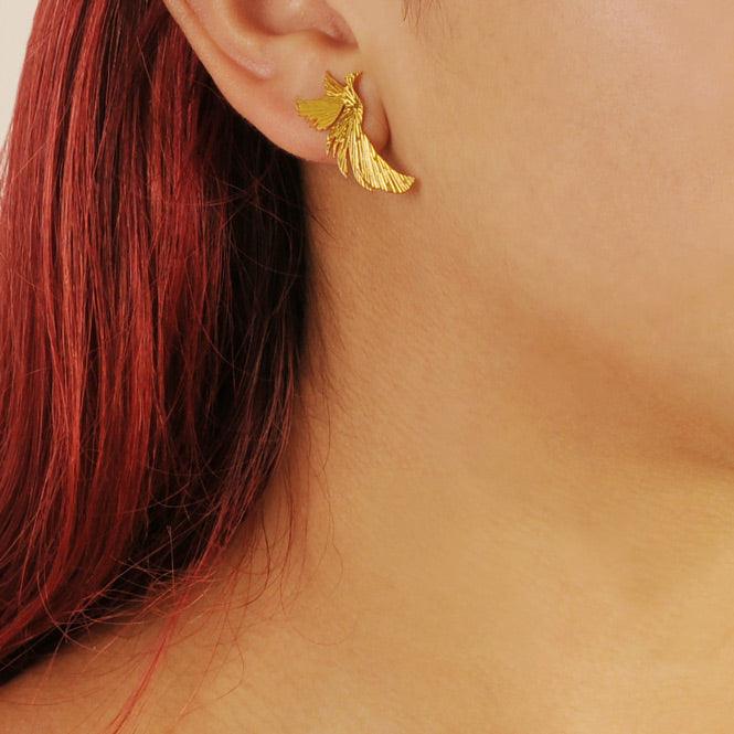 Arete Topo Ave Fénix Resiliencia