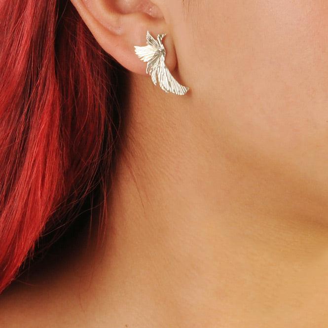 Arete Topo Ave Fénix Resiliencia
