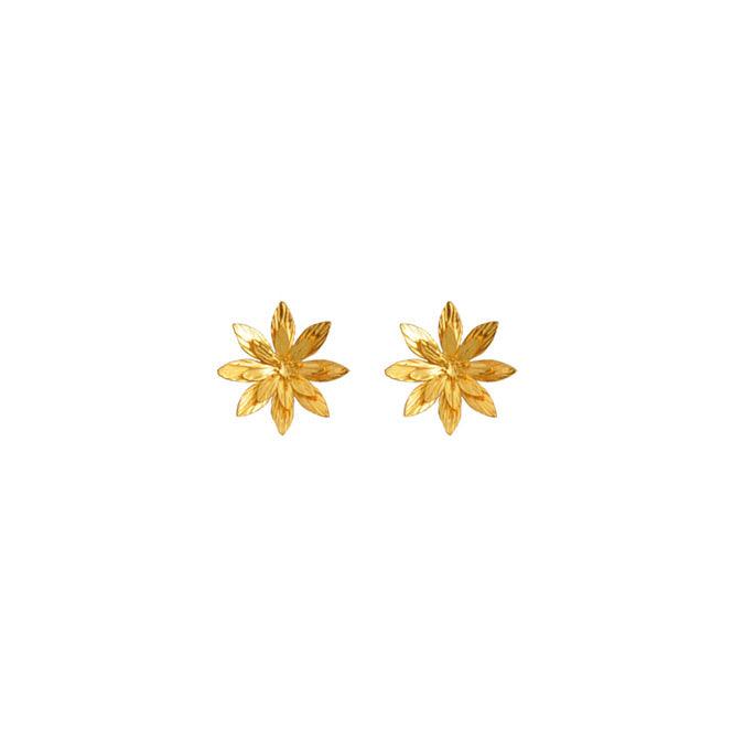 Arete Topo Pequeño Flor De Loto Resiliencia