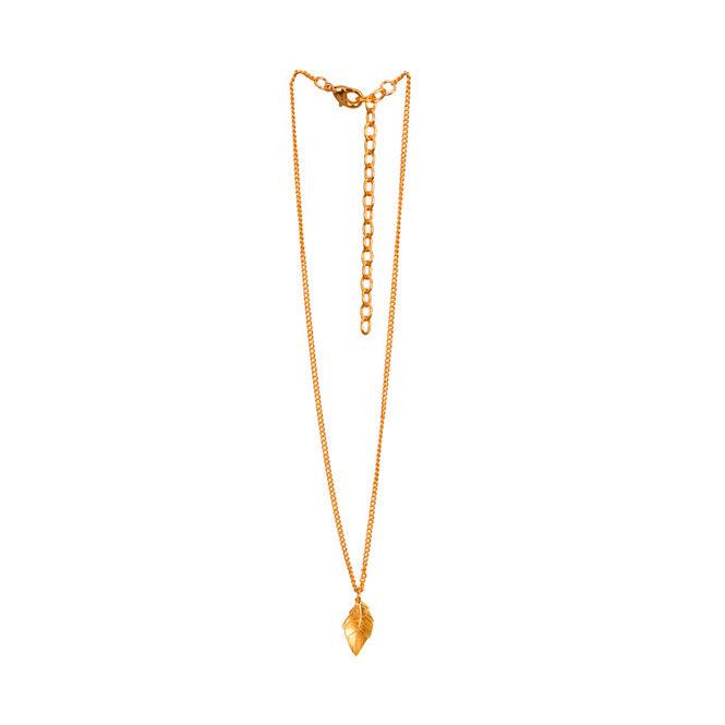 Cadena Choker Y Dije Hoja Edén
