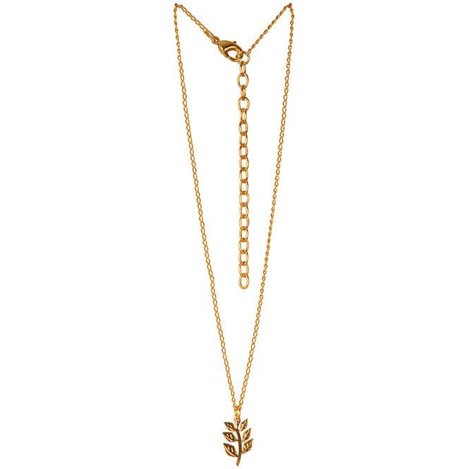 Cadena Choker Rama De Laurel Renacer