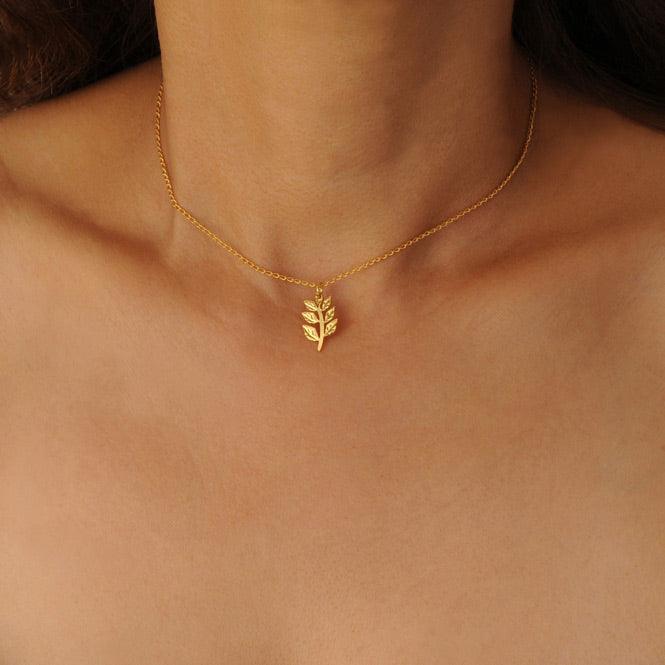 Cadena Choker Rama De Laurel Renacer