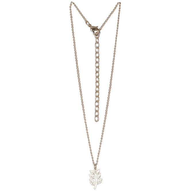 Cadena Choker Rama De Laurel Renacer